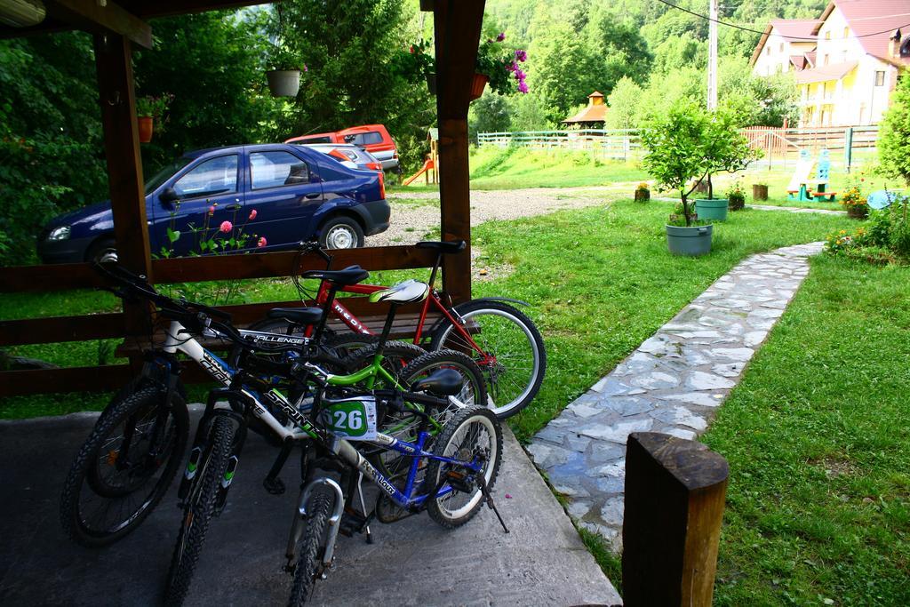Vila Sucu Poiana Marului (Brasov) Exterior photo